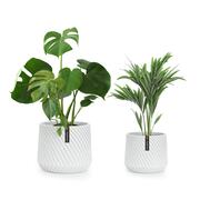 Fox & Fern Heusden, 2 db-os virágcserép szett, polisztirol, növények számára alkalmas, kézzel készített, 3D-s megjelenés akciós termékkép 1
