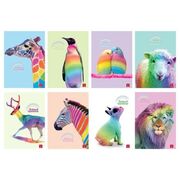 Pigna: Animal Rainbow négyzetrácsos füzet, A4 - többféle akciós termékkép 1