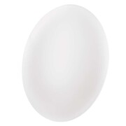 EMOS LED MENNYEZETI LÁMPA FIONI 24W NW IP44 akciós termékkép 1