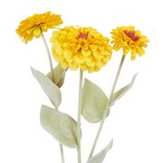 FLORISTA rézvirág, citromsárga termék 2. képe