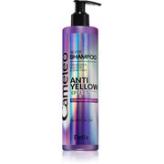 Delia Cosmetics Cameleo Silver sampon semlegesíti a sárgás tónusokat 250 ml akciós termékkép 1