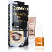 Delia Cosmetics Cameleo professzionális krémes festék a szemöldökre ammónia nélkül árnyalat 1.0 Black 15 ml akciós termékkép 1