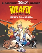 Ideafix 5. - Ideafix és a Druida termék 2. képe