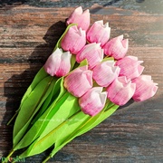Nőnapi textil tulipán, örök csokor 12 sz/cs rózsaszín-pink akciós termékkép 1