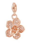 Rosato Bronz medál Orchidea Storie RZ054 akciós termékkép 1