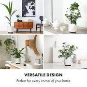 Fox & Fern Enspijk, virágcserepek, 2 részes készlet, 2 méretben, diófa, Polystone, kézzel készített termék 2. képe