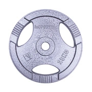Acél súlytáracsa inSPORTline Hamerton 25 kg 30mm termék 2. képe