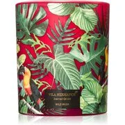 Vila Hermanos Jungletopia Wild Musk illatgyertya 200 g akciós termékkép 1