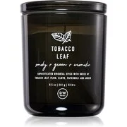 DW Home Prime Tobacco Leaf illatgyertya 240,9 g akciós termékkép 1