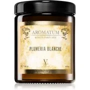 Vila Hermanos Aromatum Plumeria Blanche illatgyertya 180 g akciós termékkép 1