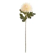 FLORISTA krizantém, krémszín  73cm akciós termékkép 1