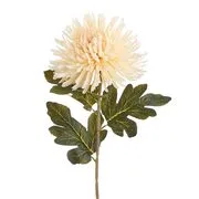 FLORISTA krizantém, krémszín  73cm termék 2. képe