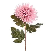 FLORISTA krizantém, rózsaszín 73cm termék 2. képe