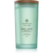 Chesapeake Bay Candle Mind & Body Balance & Harmony illatgyertya 355 g akciós termékkép 1