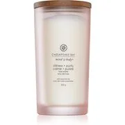 Chesapeake Bay Candle Mind & Body Stillness & Purity illatgyertya 355 g akciós termékkép 1