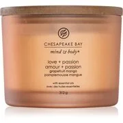 Chesapeake Bay Candle Mind & Body Love & Passion illatgyertya I. 312 g akciós termékkép 1