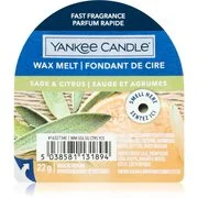 Yankee Candle Sage & Citrus illatos viasz aromalámpába 22 g akciós termékkép 1