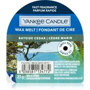 Yankee Candle Bayside Cedar illatos viasz aromalámpába 22 g akciós termékkép 1