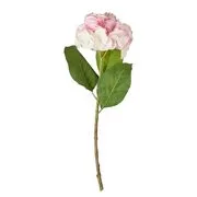FLORISTA hortenzia, rózsaszín 62 cm akciós termékkép 1