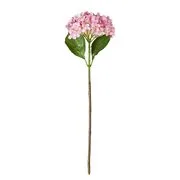 FLORISTA hortenzia, rózsaszín 67 cm akciós termékkép 1