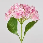 FLORISTA hortenzia, rózsaszín 67 cm termék 2. képe