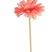 FLORISTA gerbera 62 cm, barackszín termék 2. képe