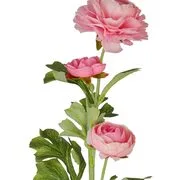 FLORISTA boglárka 63 cm, rózsaszín termék 2. képe