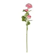 FLORISTA boglárka 63 cm, rózsaszín akciós termékkép 1