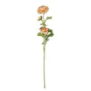 FLORISTA boglárka 63 cm, barackszín akciós termékkép 1