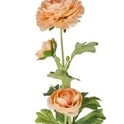 FLORISTA boglárka 63 cm, barackszín termék 2. képe
