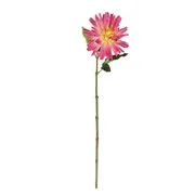 FLORISTA dália 67 cm, rózsaszín akciós termékkép 1