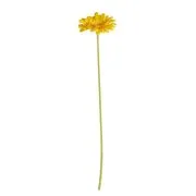FLORISTA gerbera 62 cm, citromsárga akciós termékkép 1