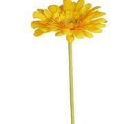 FLORISTA gerbera 62 cm, citromsárga termék 2. képe