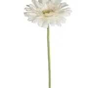 FLORISTA gerbera 62 cm, fehér termék 2. képe