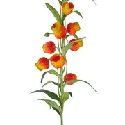 FLORISTA lampionliliom 69 cm, piros-narancs termék 2. képe