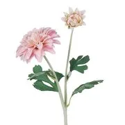 FLORISTA dália 55 cm, rózsaszín termék 2. képe