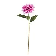 FLORISTA dália 105 cm, pink akciós termékkép 1