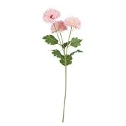 FLORISTA krizantém, rózsaszín 63 cm akciós termékkép 1