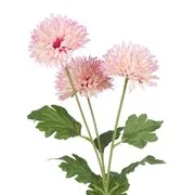 FLORISTA krizantém, rózsaszín 63 cm termék 2. képe