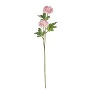 FLORISTA krizantém, rózsaszín akciós termékkép 1