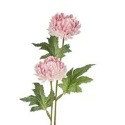 FLORISTA krizantém, rózsaszín termék 2. képe