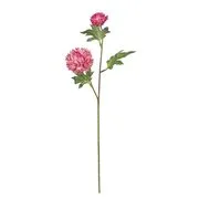 FLORISTA krizantém, pink akciós termékkép 1