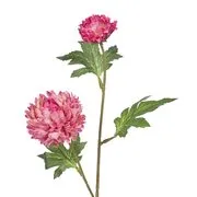 FLORISTA krizantém, pink termék 2. képe