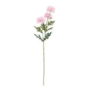 FLORISTA mini krizantém, rózaszín akciós termékkép 1