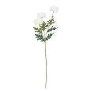 FLORISTA mini krizantém, fehér akciós termékkép 1