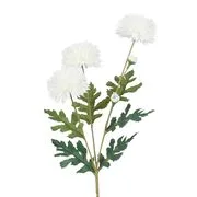 FLORISTA mini krizantém, fehér termék 2. képe