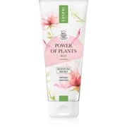 Lirene Power of Plants Rose hidratáló testbalzsam nyugtató hatással 200 ml akciós termékkép 1