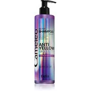 Delia Cosmetics Cameleo Silver sampon semlegesíti a sárgás tónusokat 250 ml akciós termékkép 1
