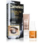 Delia Cosmetics Cameleo professzionális krémes festék a szemöldökre ammónia nélkül árnyalat 1.0 Black 15 ml akciós termékkép 1