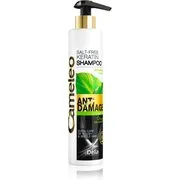 Delia Cosmetics Cameleo BB keratin sampon a károsult hajra 250 ml akciós termékkép 1